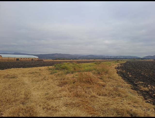 10.30HA FARM FOR SALE IN WATERKLOOF AH